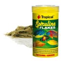 TROPICAL SPIRULINA FLAKES 100ML - POKARM W PŁATKACH