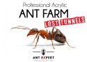 Ant Expert Lost Tunnels - formikarium akrylowe profesjonalne