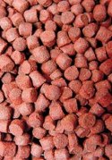 Ocean Nutrition Formula One Pellets M 100g (pokarm granulowany)