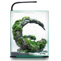 Aquael Shrimp Set Day&Night 20L Black - zestaw akwarystyczny