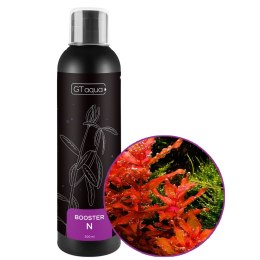 GT Aqua Booster N 200ml - nawóz azotowy