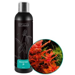 GT Aqua Booster P 200ml - nawóz fosforowy