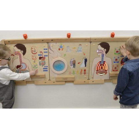 MASTERKIDZ Tablica Edukacyjna Układ Oddechowy MASTERKIDZ Tablica Edukacyjna Układ Oddechowy