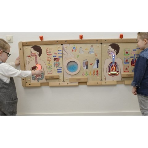 MASTERKIDZ Tablica Edukacyjna Układ Trawienny MASTERKIDZ Tablica Edukacyjna Układ Trawienny