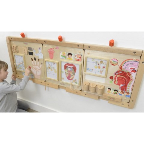 MASTERKIDZ Tablica Edukacyjna Zmysł Dotyku MASTERKIDZ Tablica Edukacyjna Zmysł Dotyku