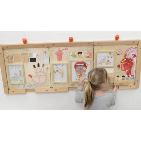 MASTERKIDZ Tablica Edukacyjna Zmysł Dotyku MASTERKIDZ Tablica Edukacyjna Zmysł Dotyku