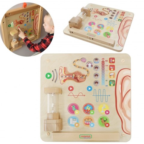 MASTERKIDZ Tablica Edukacyjna Zmysł Słuchu MASTERKIDZ Tablica Edukacyjna Zmysł Słuchu