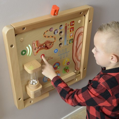 MASTERKIDZ Tablica Edukacyjna Zmysł Słuchu MASTERKIDZ Tablica Edukacyjna Zmysł Słuchu