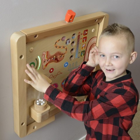 MASTERKIDZ Tablica Edukacyjna Zmysł Słuchu MASTERKIDZ Tablica Edukacyjna Zmysł Słuchu