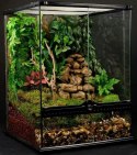 EXO TERRA terrarium szklane Mini Tall (30x30x45 cm)