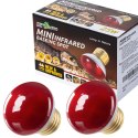 Repti-Zoo Mini Infrared Spot 25W - żarówka grzewcza 2 sztuki