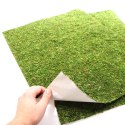 Repti-Zoo Natural Moss Back&Bottom - tło i podłoże z mchu 50x25cm