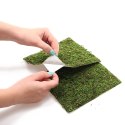 Repti-Zoo Natural Moss Back&Bottom - tło i podłoże z mchu 50x25cm