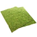 Repti-Zoo Natural Moss Back&Bottom - tło i podłoże z mchu 50x25cm