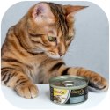 GimCat ShinyCat in Jelly - karma mięsna tuńczyk i krewetki 70g