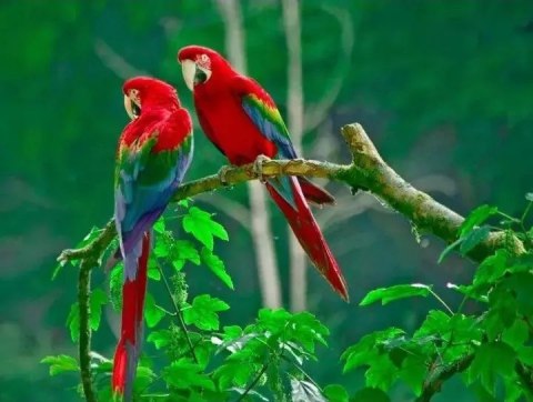 Diamond Painting Haft Diamentowy Mozaika Zestaw 5D