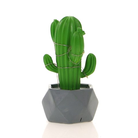 Kaktus led w doniczce h=15cm Kaktus led w doniczce h=15cm