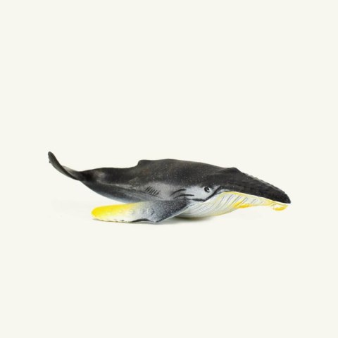 ZESTAW ZWIERZĄT OCEANICZNYCH 12 SZT. W TUBIE ZESTAW ZWIERZĄT OCEANICZNYCH 12 SZT. W TUBIE