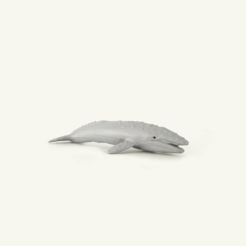 ZESTAW ZWIERZĄT OCEANICZNYCH 12 SZT. W TUBIE ZESTAW ZWIERZĄT OCEANICZNYCH 12 SZT. W TUBIE