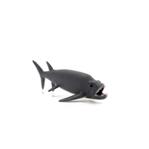 ZWIERZĘTA OCEANICZNE 6 SZT. ZWIERZĘTA OCEANICZNE 6 SZT.