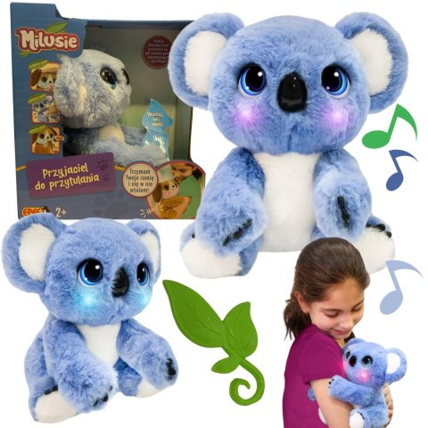 MILUSIE PLUSZAK INTERAKTYWNY KOALA EFEKTY DŹWIĘKOWE ŚWIETLNE MASKOTKA MILUSIE PLUSZAK INTERAKTYWNY KOALA EFEKTY DŹWIĘKOWE ŚWIETLNE MASKOTKA