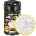 Repti-Zoo Calcium without D3 100ml - wapno bez D3 i witaminy