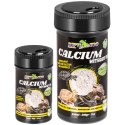 Repti-Zoo Calcium without D3 100ml - wapno bez D3 i witaminy