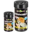 Repti-Zoo Gammarus 100ml - kiełż zdrojowy