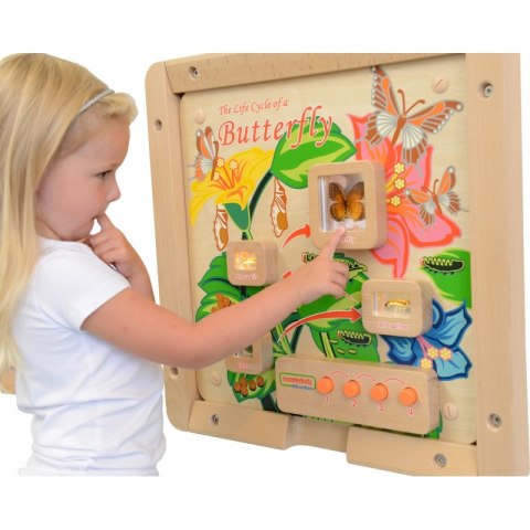 Cykl Życia Motylka Tablica Edukacyjna Masterkidz Cykl Życia Motylka Tablica Edukacyjna Masterkidz