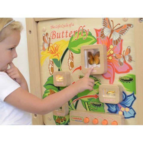 Cykl Życia Motylka Tablica Edukacyjna Masterkidz Cykl Życia Motylka Tablica Edukacyjna Masterkidz
