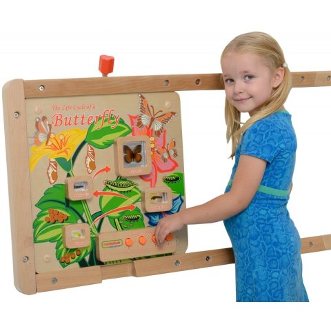 Cykl Życia Motylka Tablica Edukacyjna Masterkidz Cykl Życia Motylka Tablica Edukacyjna Masterkidz