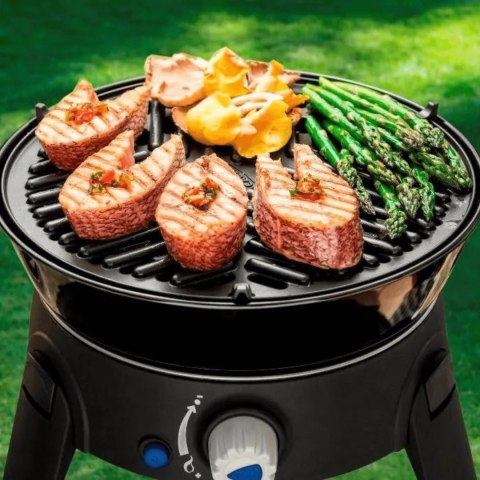PŁYTA GRILLOWA DWUSTRONNA CADAC Z POWŁOKĄ GREENGRI RUSZT NA GRILL OGNISKO PŁYTA GRILLOWA DWUSTRONNA CADAC Z POWŁOKĄ GREENGRI RUSZT NA GRILL OGNISKO
