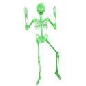 34Cm skeleton night light single.