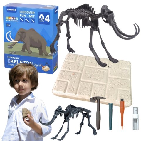 ZESTAW KOPALNIA WYKOPALISKA DINOZAUR ARCHEOLOGICZNE SZKIELET + NARZĘDZIA