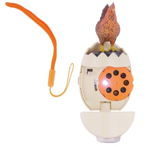 POULTRY PROOJECTOR POULTRY PROOJECTOR