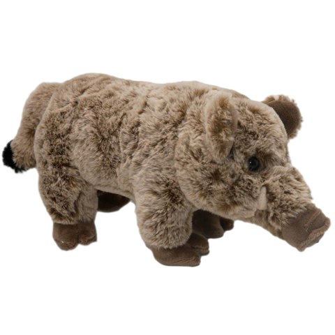 Pluszowy Dzik Maskotka Miękka Przytulanka 40cm Realistyczny Wygląd Zabawka Pluszowy Dzik Maskotka Miękka Przytulanka 40cm Realistyczny Wygląd Zabawka