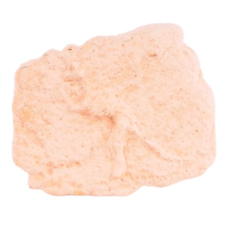 DINOZAUR WYKOPALISKA skamielina SZKIELET KOPALNIA DINOZAUR WYKOPALISKA skamielina SZKIELET KOPALNIA