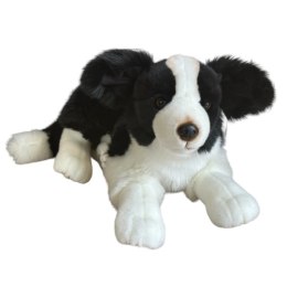 Maskotka Pies Border Collie Duży Pluszak 45cm Miękka Przytulanka Miś Piesek