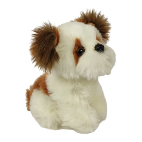 Maskotka Pies Shih Tzu Mały Pluszak 18cm Miękka Przytulanka Miś Piesek