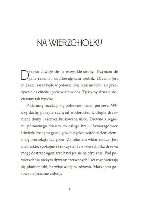 Poskramiaczka ptaków. Legenda o źrenicy oka, t. 2 Poskramiaczka ptaków. Legenda o źrenicy oka, t. 2