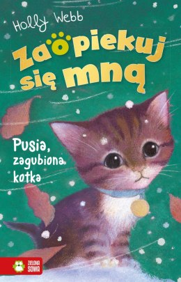 Zaopiekuj się mną. Pusia, zagubiona kotka