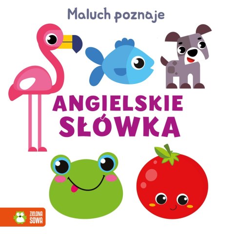 Maluch poznaje. Przeciwieństwa Maluch poznaje. Przeciwieństwa