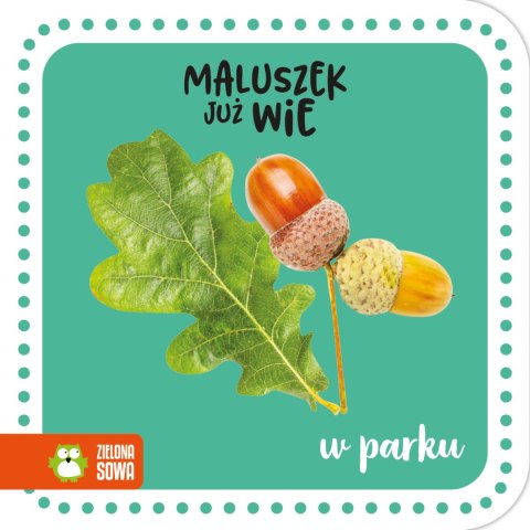 Maluszek już wie. W parku Maluszek już wie. W parku