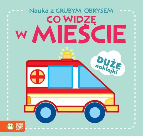 Nauka z grubym obrysem. Co widzę w mieście?