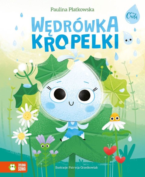 Wędrówka kropelki