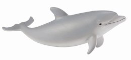 COLLECTA DELFIN BUTLONOSY MŁODE