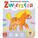 Zwierzęta. Kolorowanka malucha