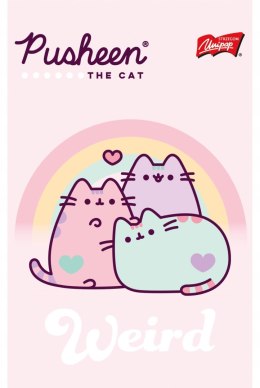 Notatnik A6 50 kartek krata okładka kredowana 70 g/m2 PUSHEEN
