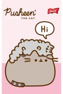 Notatnik A6 50 kartek krata okładka kredowana 70 g/m2 PUSHEEN
