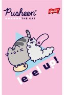 Notatnik A6 50 kartek krata okładka kredowana 70 g/m2 PUSHEEN